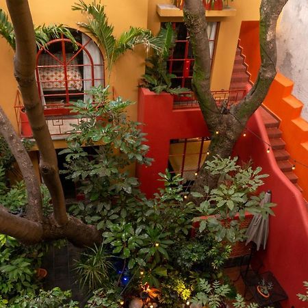 The Red Tree House Bed & Breakfast Ciudad de México Exterior foto